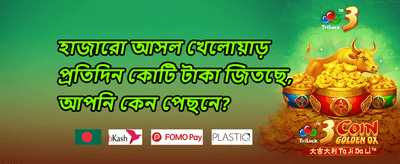 সাপ্তাহিক ভিআইপি ক্যাশব্যাক promotion